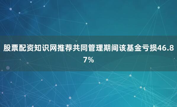 股票配资知识网推荐共同管理期间该基金亏损46.87%