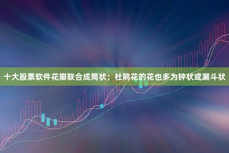 十大股票软件花瓣联合成筒状；杜鹃花的花也多为钟状或漏斗状
