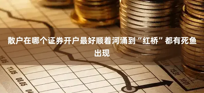 散户在哪个证券开户最好顺着河涌到“红桥”都有死鱼出现