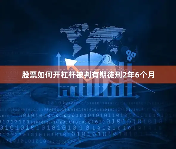 股票如何开杠杆被判有期徒刑2年6个月
