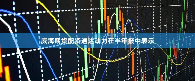 威海期货配资通达动力在半年报中表示